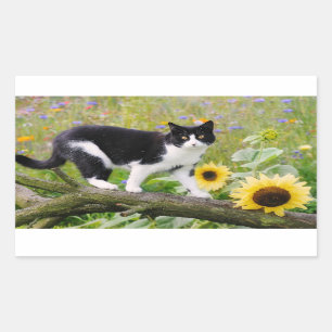 Cute tuxedo cat op een boomtak met zonnebloemen - rechthoekige sticker