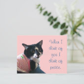 Cute Tuxedo Cat Think of Peace Briefkaarten (Staand voorkant)