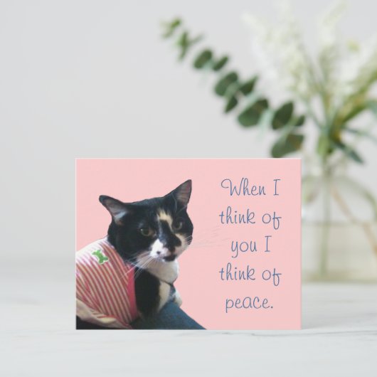 Cute Tuxedo Cat Think of Peace Briefkaarten (Staand voorkant)