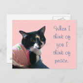 Cute Tuxedo Cat Think of Peace Briefkaarten (Voorkant / Achterkant)