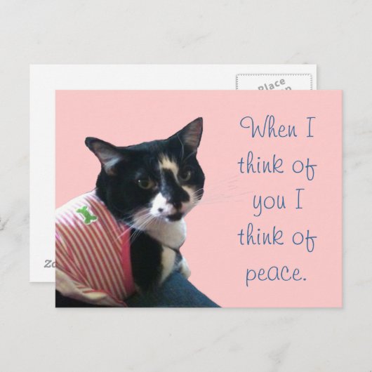 Cute Tuxedo Cat Think of Peace Briefkaarten (Voorkant / Achterkant)