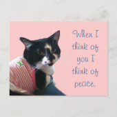 Cute Tuxedo Cat Think of Peace Briefkaarten (Voorkant)