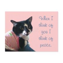 Cute Tuxedo Cat Think of Peace Briefkaarten