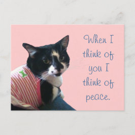 Cute Tuxedo Cat Think of Peace Briefkaarten