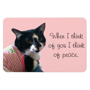 Cute Tuxedo Cat Think of Peace Magnets Magneet