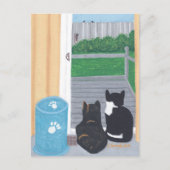 Cute Two Cats Bird Watching Deck Briefkaarten (Voorkant)