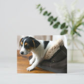 Cute Ugg Puppy Briefkaart (Jack Russell Terrier) (Staand voorkant)