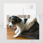 Cute Ugg Puppy Briefkaart (Jack Russell Terrier) (Voorkant / Achterkant)