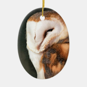 CUTE UIL KERAMISCH ORNAMENT