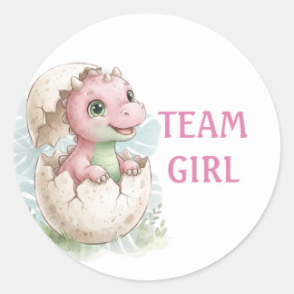 Cute Uitbroedend Dinosaurusteam Meisje Geslacht Re Ronde Sticker