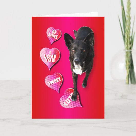 Cute Valentijn Dog Card Feestdagen Kaart (Voorkant)