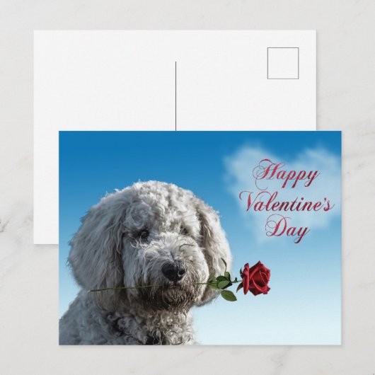 Cute Valentijnsdag Doodle Dog Briefkaart (Voorkant / Achterkant)
