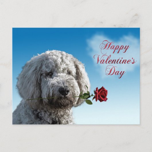 Cute Valentijnsdag Doodle Dog Briefkaart (Voorkant)