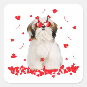 Cute Valentijnsdag Shih Tzu Hoorten honden Vierkante Sticker