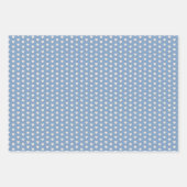 Cute Valentine Kiwi Bird Hearts Bow Soft Pink Blue Inpakpapier Vel (Voorkant 2)