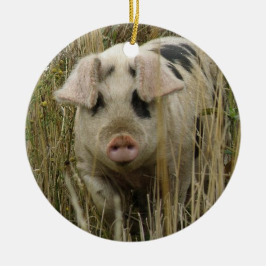 Cute Varken Aangepaste Verjaardag Keramisch Ornament (Voorkant)