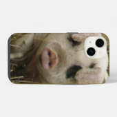 Cute Varken iPhone Hoesje (Achterkant horizontaal)