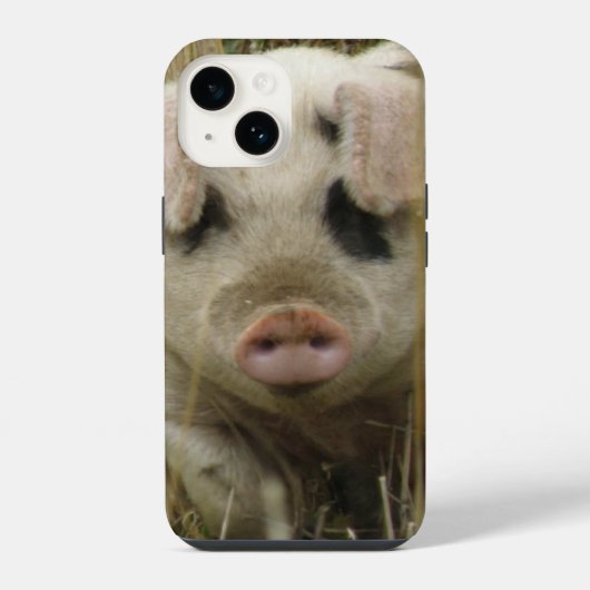 Cute Varken iPhone Hoesje (Achterkant)