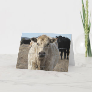 Cute Veterinarian Gefeliciteerd Ranch Boerderij DV Kaart