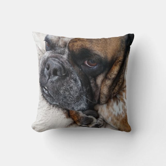 Cute Victoriaanse Bulldog Foto Kussen (Voorkant)