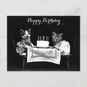 Cute Vintage Katten Verjaardagsfeest Briefkaart