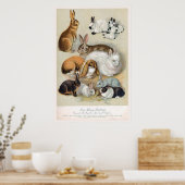 Cute Vintage Retro Bunny Rabbit Poster (Keuken)