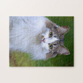 Cute Visiting Long-Hazard Calico Cat in de tuin Legpuzzel (Horizontaal)