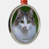 Cute Visiting Long-Hazard Calico Cat in de tuin Metalen Ornament (Rechts)