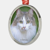 Cute Visiting Long-Hazard Calico Cat in de tuin Metalen Ornament (Links)