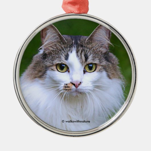 Cute Visiting Long-Hazard Calico Cat in de tuin Metalen Ornament (Voorkant)
