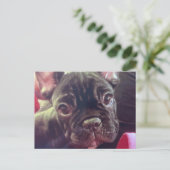 Cute Vrouw French Bulldog Brindle Brown Frenchie Briefkaart (Staand voorkant)