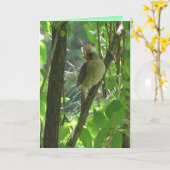 Cute vrouw Kardinaal in de Boom blanco Kaart (Gele Bloem)