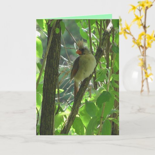 Cute vrouw Kardinaal in de Boom blanco Kaart (Gele Bloem)