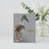 Cute Wandelende Eend Aangepaste Verjaardagskaart Briefkaart (Staand voorkant)