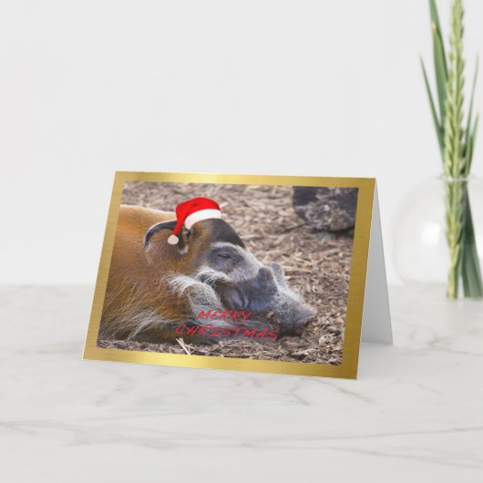 "Cute Warthog" design Christmas card Feestdagen Kaart (Voorkant)