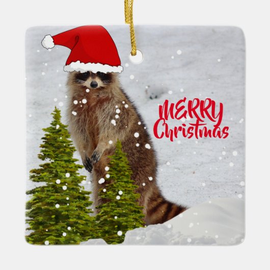 Cute Wasbeer Kerstboom Ornament (Voorkant)