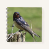 Cute Watching Barn Swallow Birdwatch Notitieboek (Voorkant)