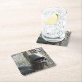 Cute Watching Dinosaur Onderzetter (Insitu)