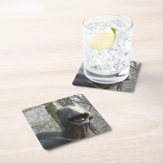 Cute Watching Dinosaur Onderzetter (Insitu)