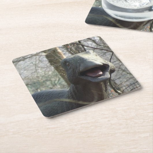 Cute Watching Dinosaur Onderzetter (Schuin)