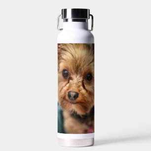 Cute Waterfles
