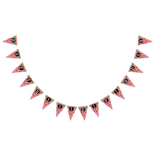 Cute Watermelon Happy First Birthday Vlaggetjes (Alle)