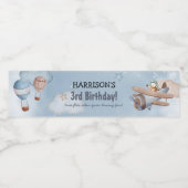 Cute Waterverf Airplane Boy Birthday Party Waterfles Etiket (Enkel label)