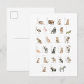Cute Waterverf Animal Alphabet Briefkaart (Voorkant / Achterkant)