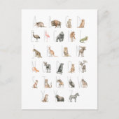 Cute Waterverf Animal Alphabet Briefkaart (Voorkant)