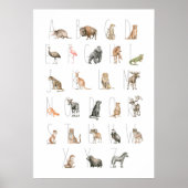 Cute Waterverf Animal Alphabet Poster (Voorkant)