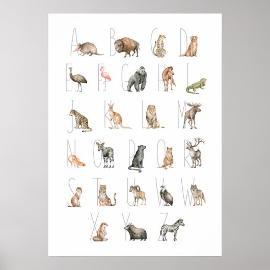 Cute Waterverf Animal Alphabet Poster (Voorkant)