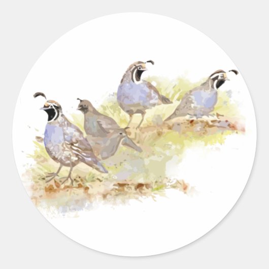 Cute Waterverf California Quail Bird Art Ronde Sticker (Voorkant)