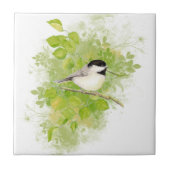 Cute Waterverf Chickadee Bird in Poplar Tree Tegeltje (Voorkant)