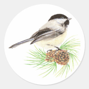 Cute Waterverf Chickadee Bird Pine Tree Ronde Sticker